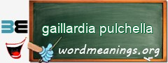 WordMeaning blackboard for gaillardia pulchella